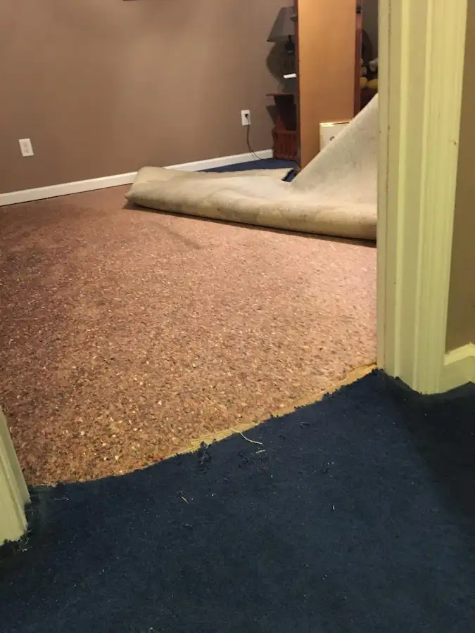 Carpet pad removal revealing water damage during Drying & Dehumidification in Warrensburg