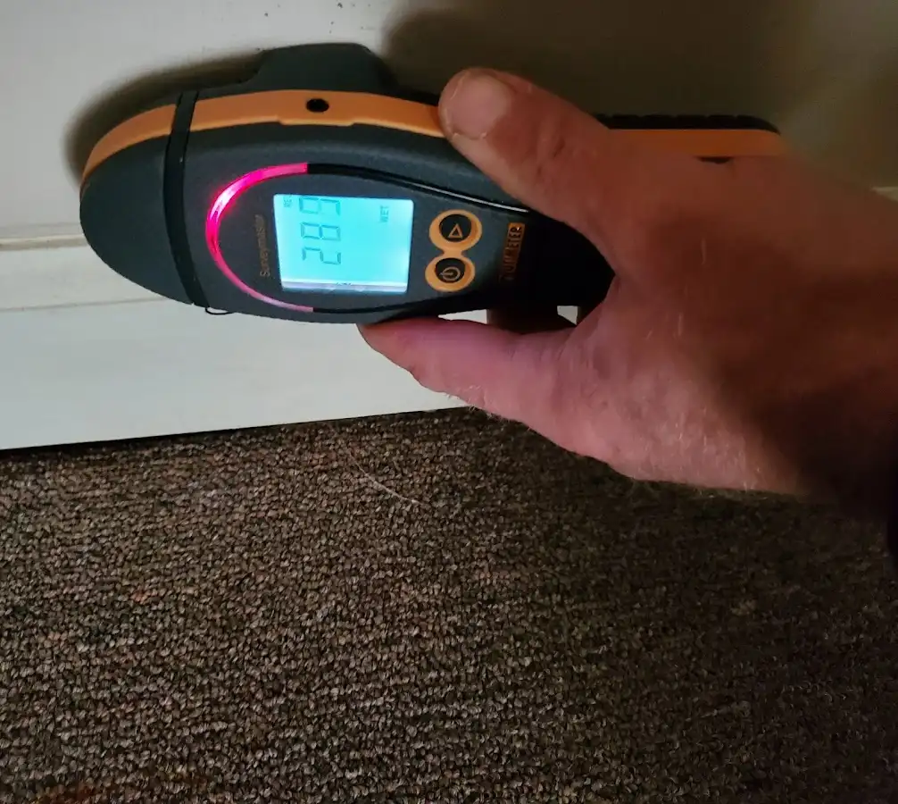 Moisture detection at baseboard during Sewage Cleanup & Sanitation in Warrensburg